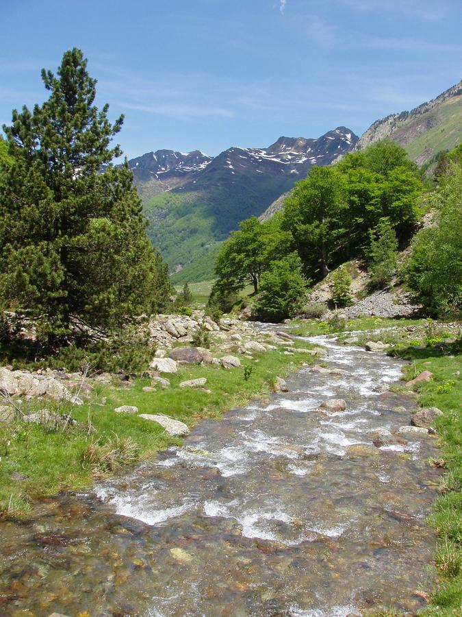 Gite D'Etape Ascou La Forge Eksteriør bilde